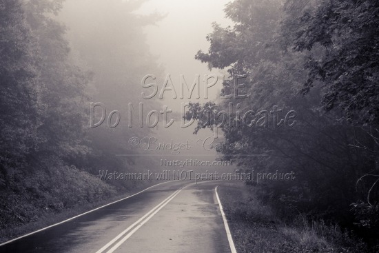Foggy Road || Virginia