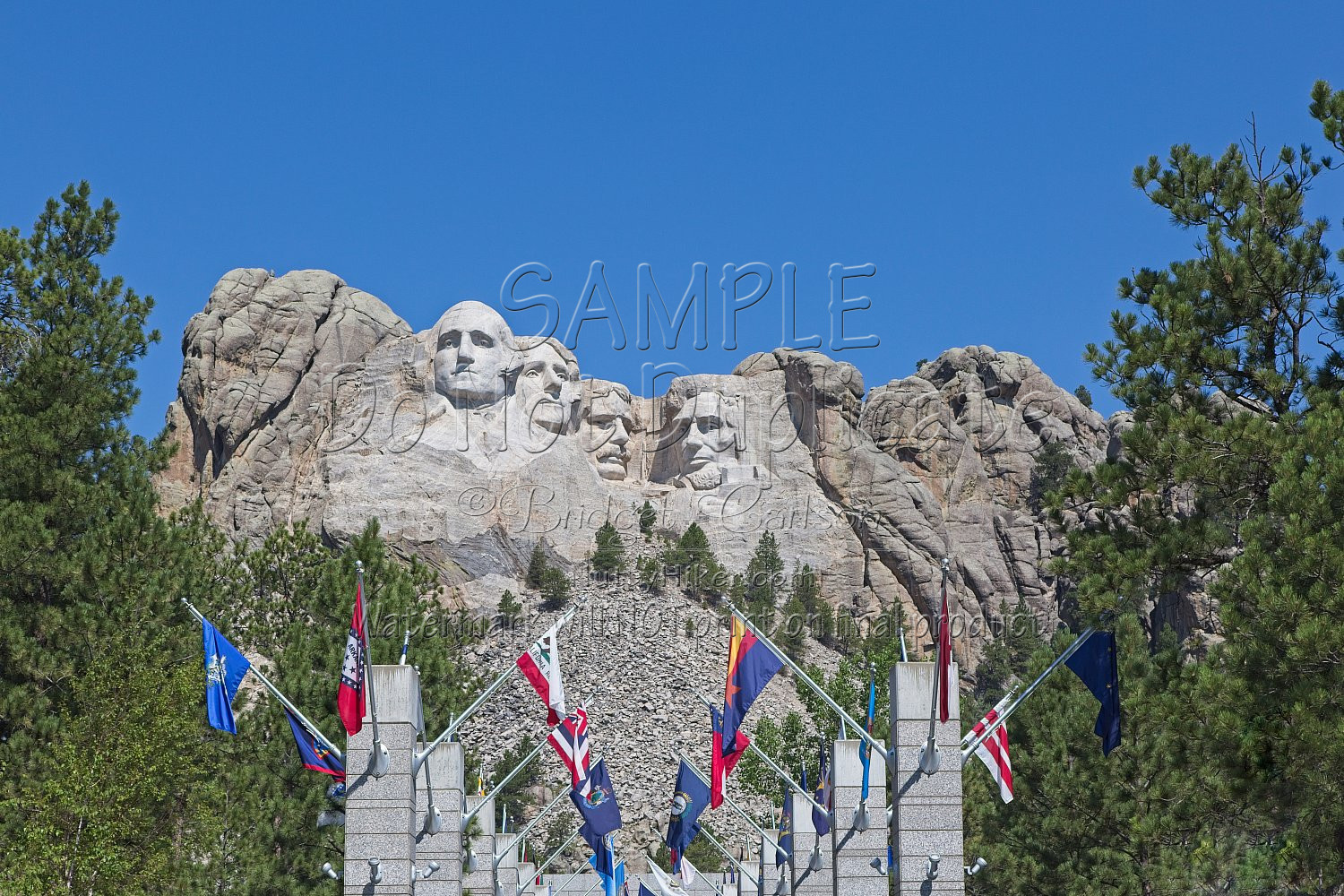 Rushmore Flags