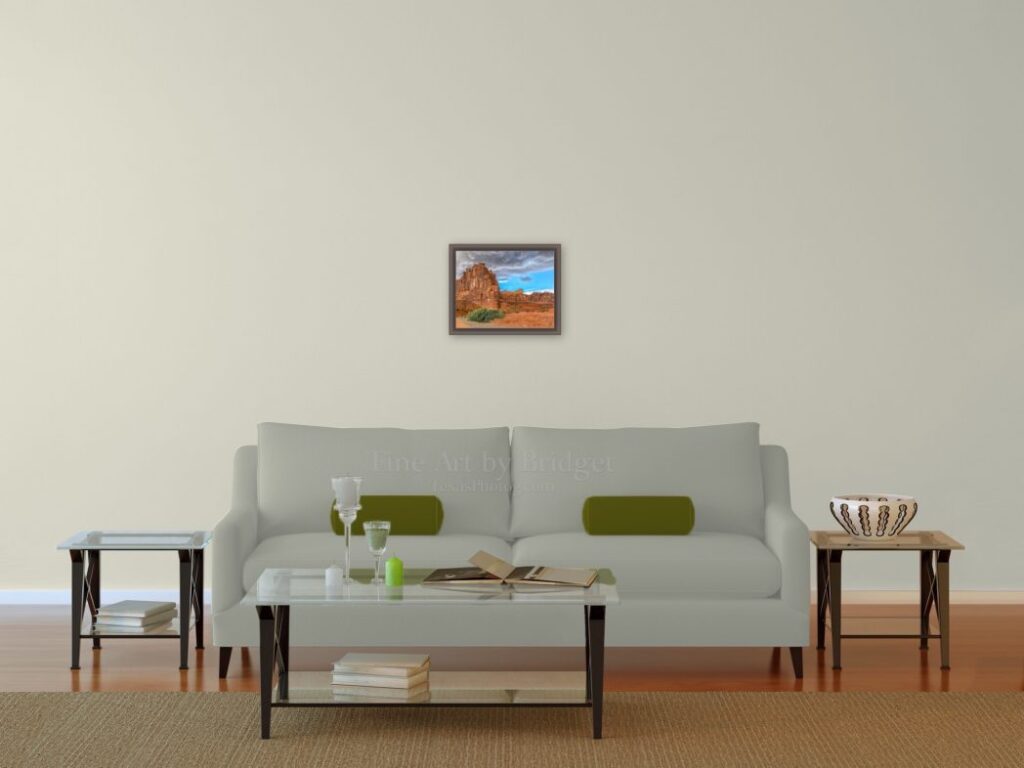 11x14 Picture over the sofa