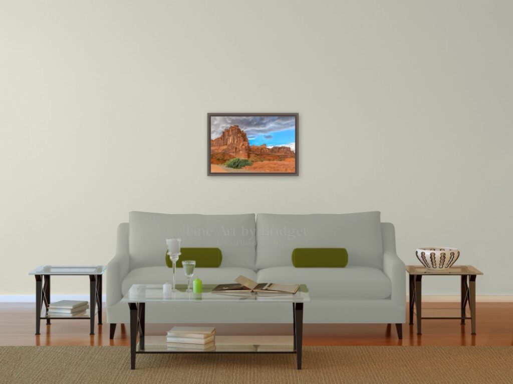 16x24 Picture over the sofa