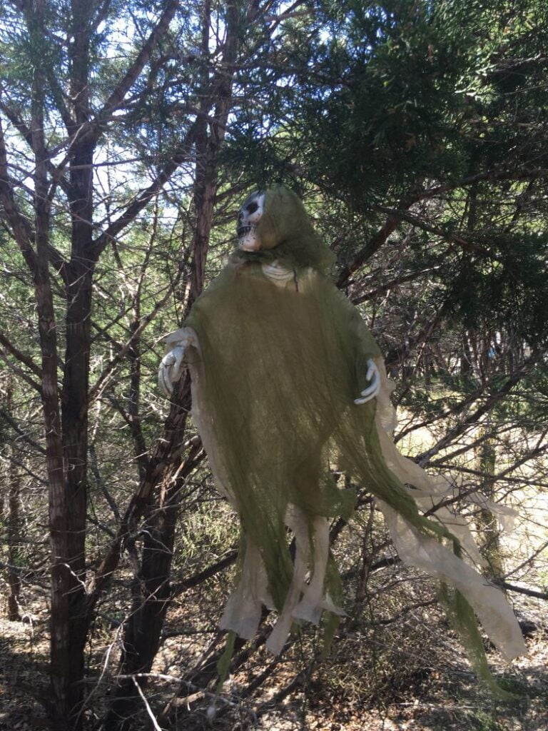 Ghost hanging in tree while hiking at Dana Peak Park