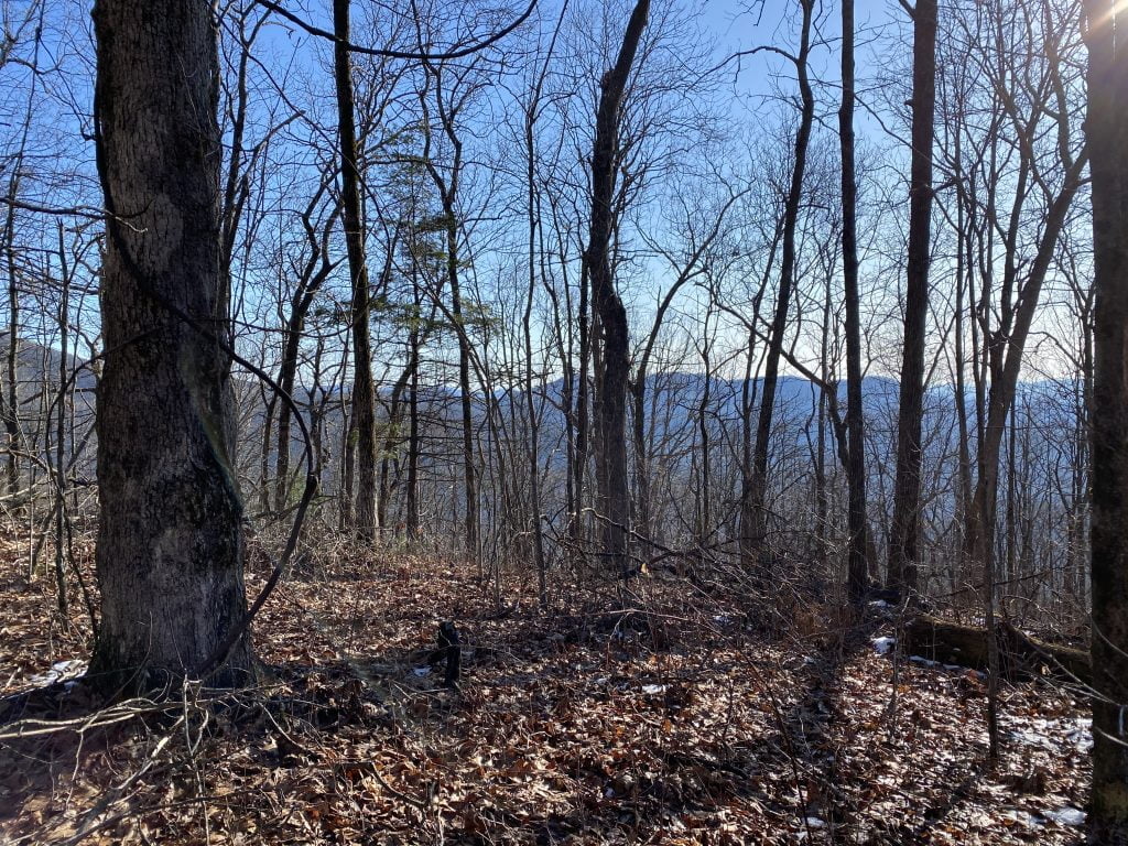 Day 4: Appalachian Trail Thru-Hike | Gooch to Jarrad Gap