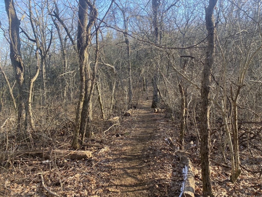 Day 10 of my Appalachian Trail thu hike. Hogpen Gap to Unicoi Gap