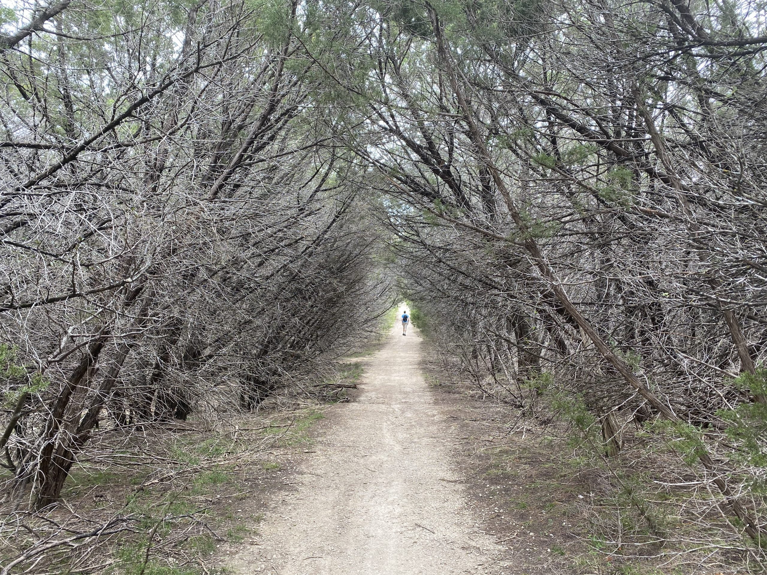 Dana Peak Park