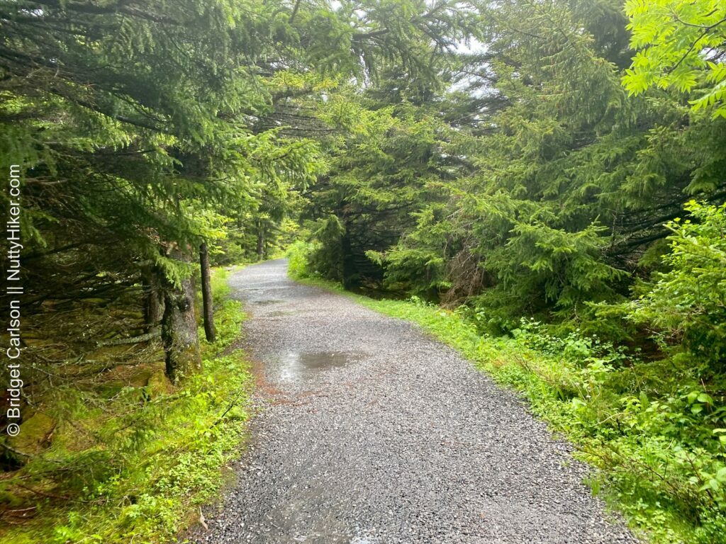 An easy gravel path at Spruce Knob