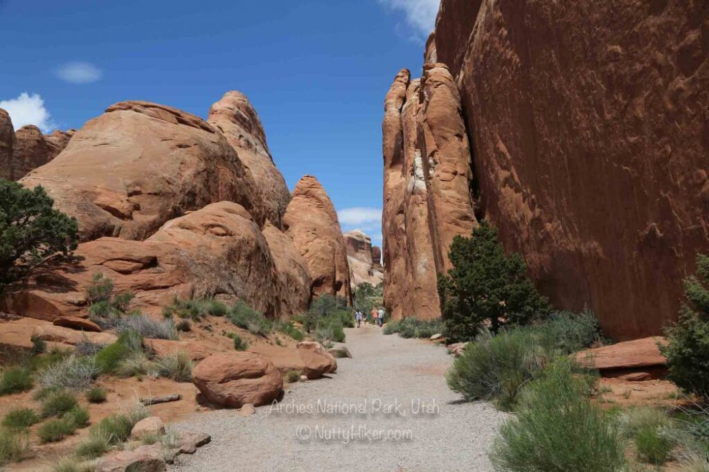 Arches National Park 20