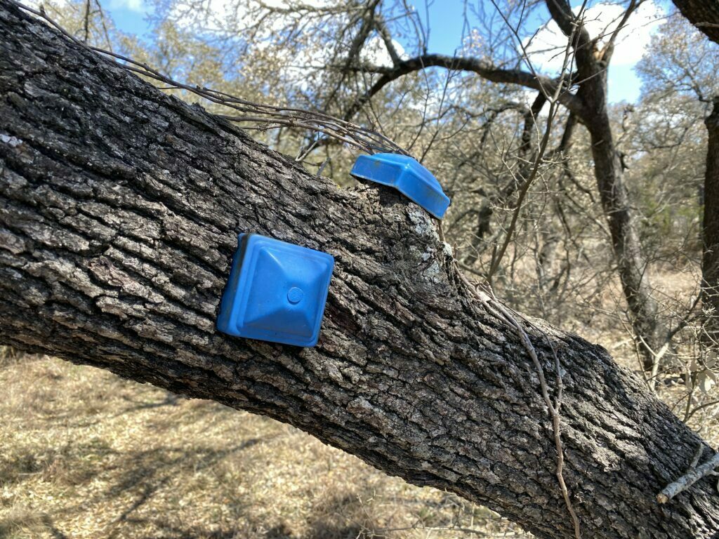 Blue trail marker at Discovery Well Cave Preserve in Cedar Park