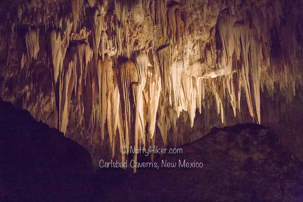 Carlsbad-Caverns-New-Mexico-10