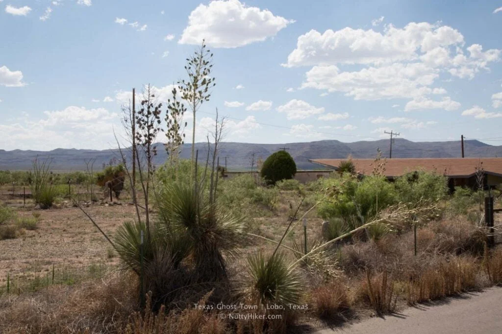 Texas Ghost Towns: Lobo, Texas in West Texas is a small ghost town that was abandoned in the early 90's