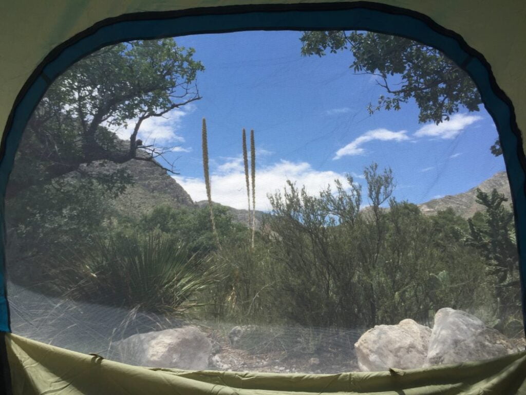 The view from our tent at guadalupe mountain national park in Texas