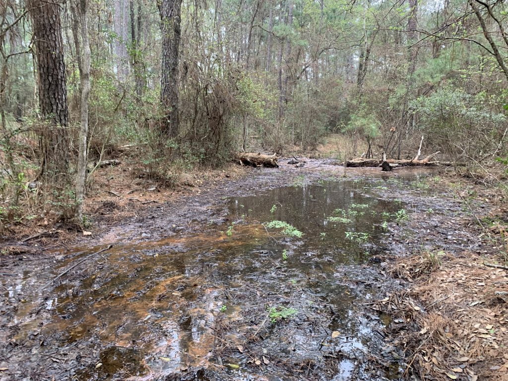 Lone Star Hiking Trail Day 3