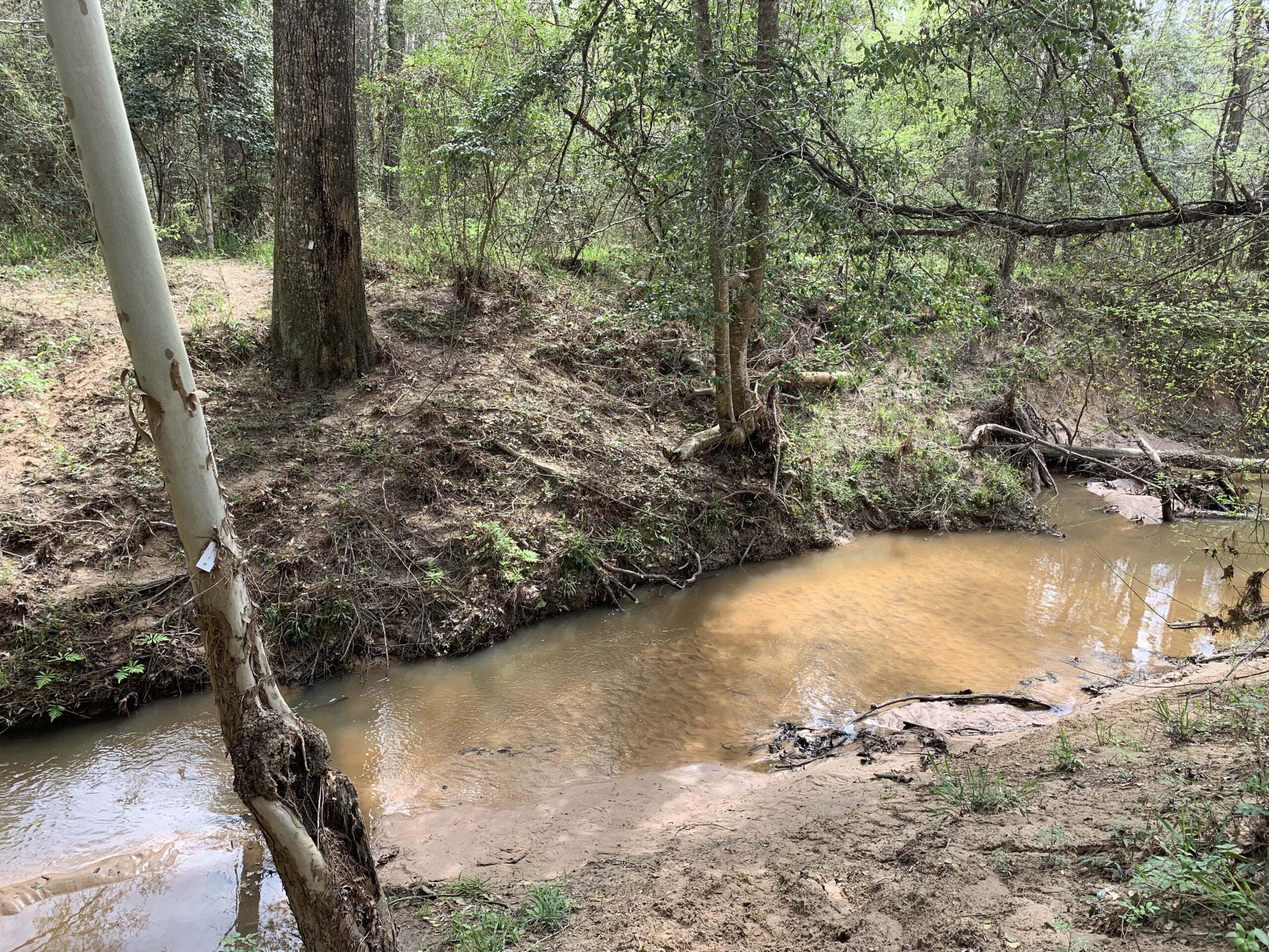 Four Notch Section of the Lone Star Hiking Trail