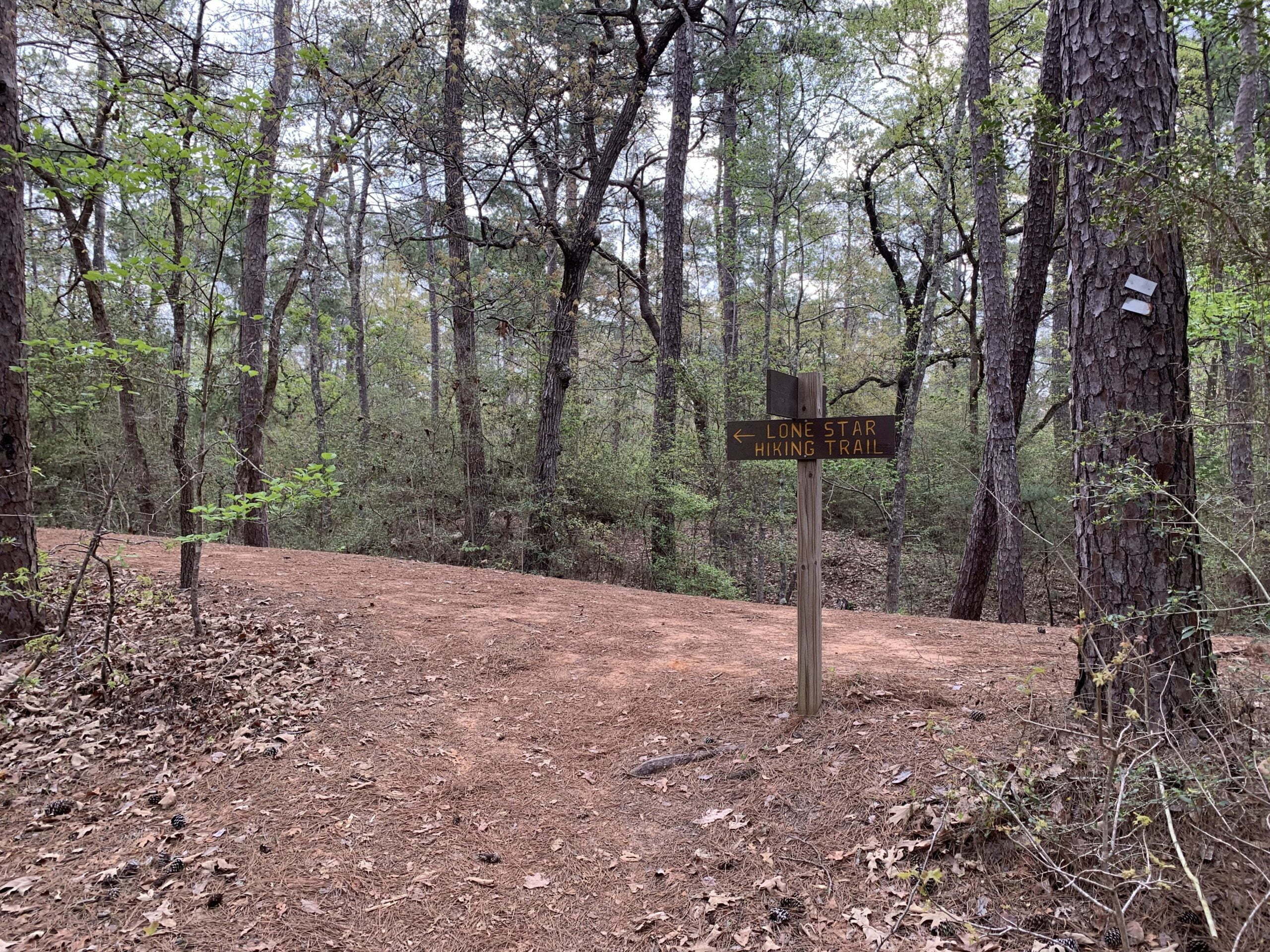 Big Creek Area, Lone Star Hiking Trail