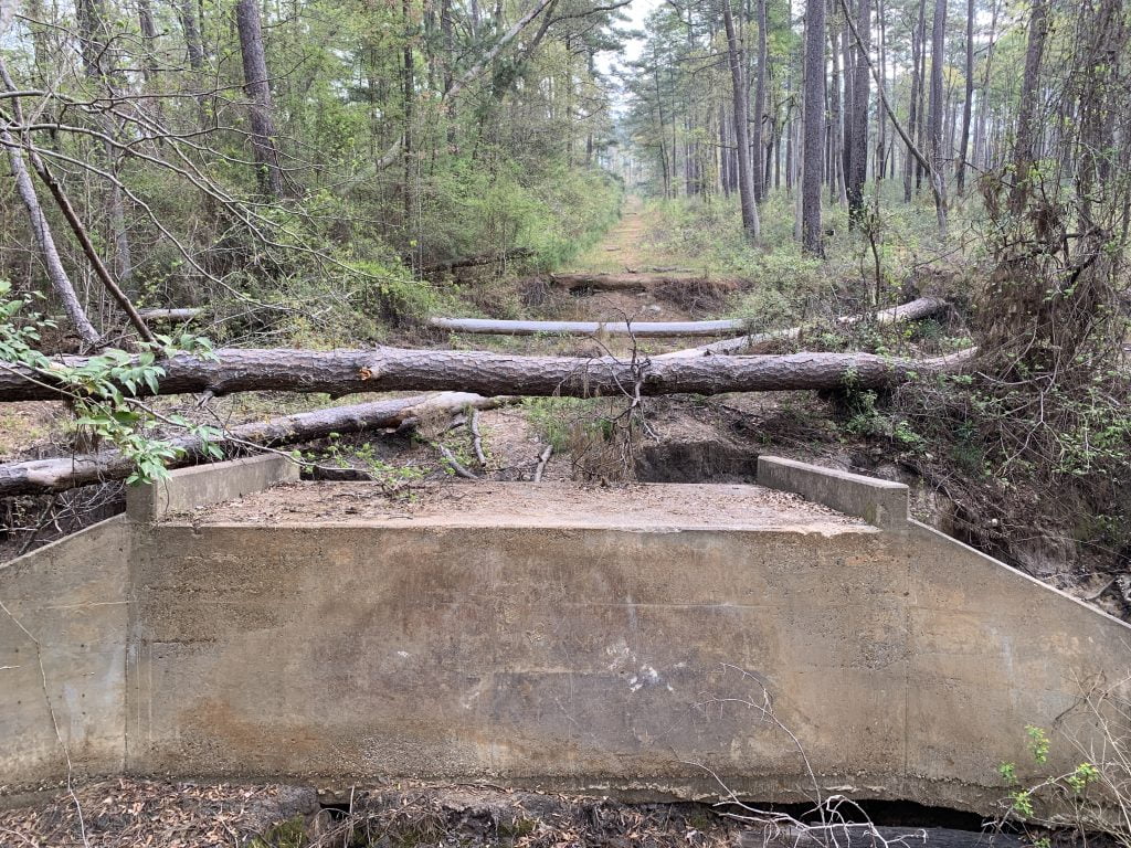 Lone Star Hiking Trail Day 7