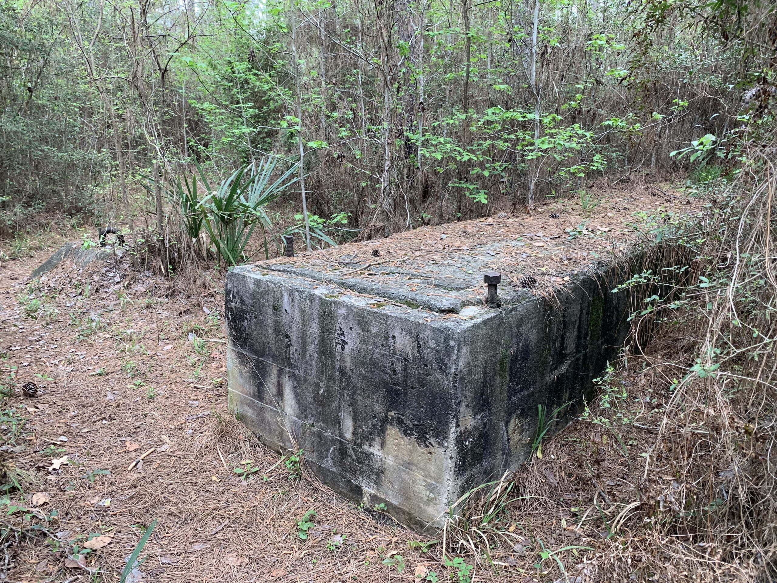 Winters Bayou section of the Lone Star Hiking Trail