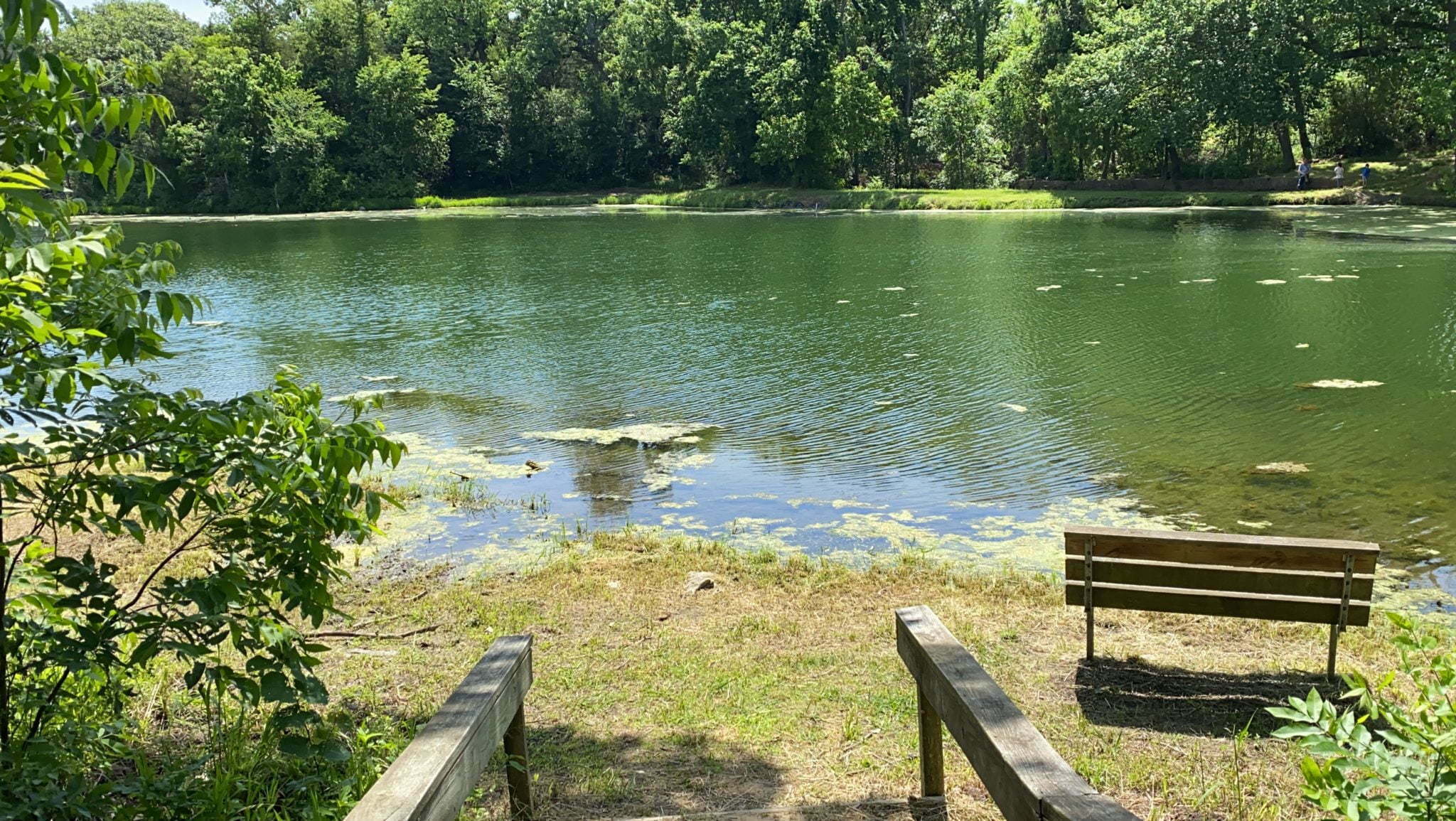 Fort Parker State Park Hiking Trails, Camping, Fishing