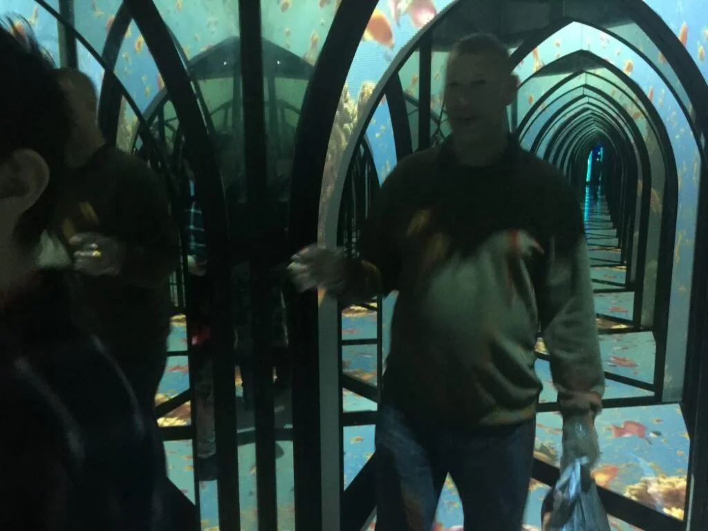 Mirror Maze San Antonio