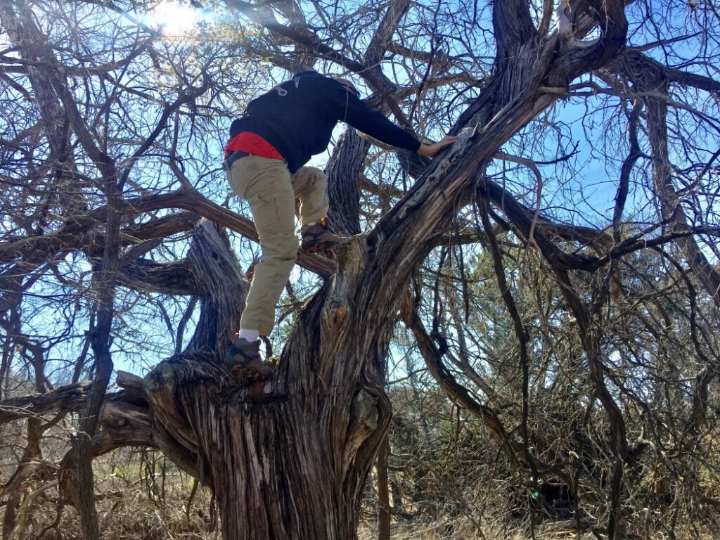 My husband climbing a tree to get a geocache.