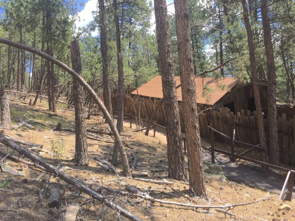 Cosmos Mystery Area in Black Hills, South Dakota