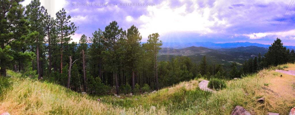 Mount Coolidge Panorama from Black Hills Bucket List