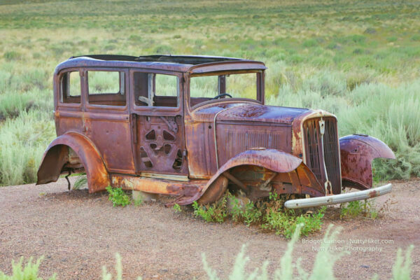 Route 66 in Petrified Forest National Park