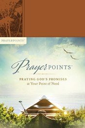 Prayer Points Book Review