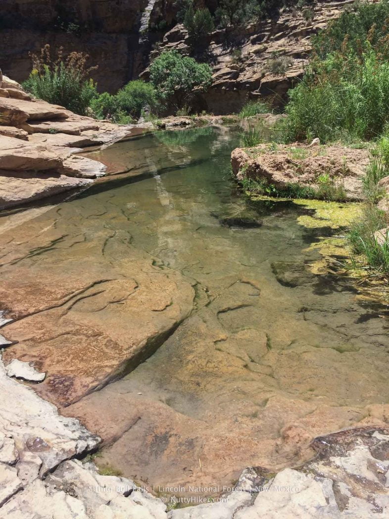 Sitting Bull Falls in New Mexico is an oasis in the middle of the desert that should be on everyone's bucket list!