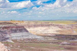 Petrified Forest National Park, Arizona