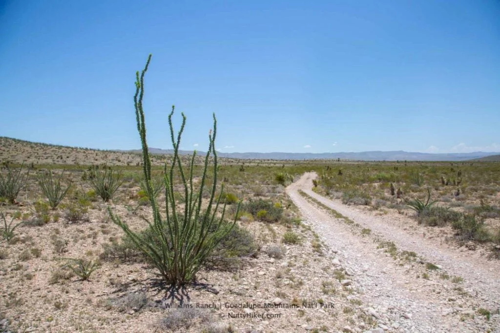 Williams Ranch at Guadalupe Mountains National Park in Texas