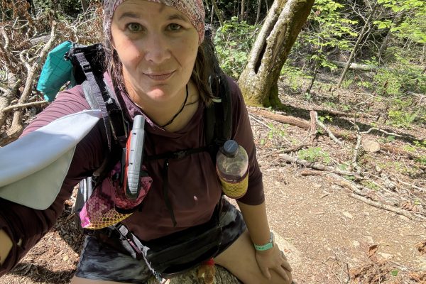 Appalachain Trail #38: Blowdowns Oh My!
