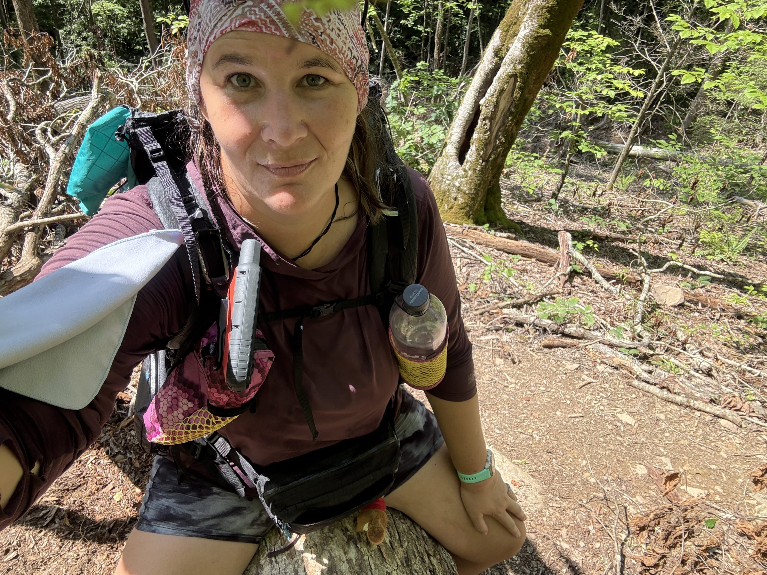 Appalachain Trail #38: Blowdowns Oh My!