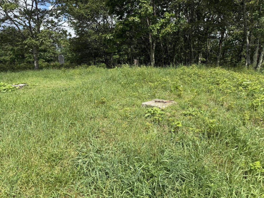 Footing for the chestnut knob fire tower surrounded by grass