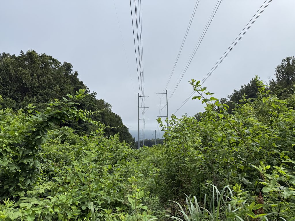 appalachian trail day 42 powerlines nuttyhiker