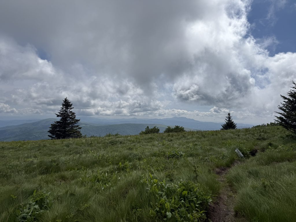 View of Grandfather Mountain from Grassy Ridge