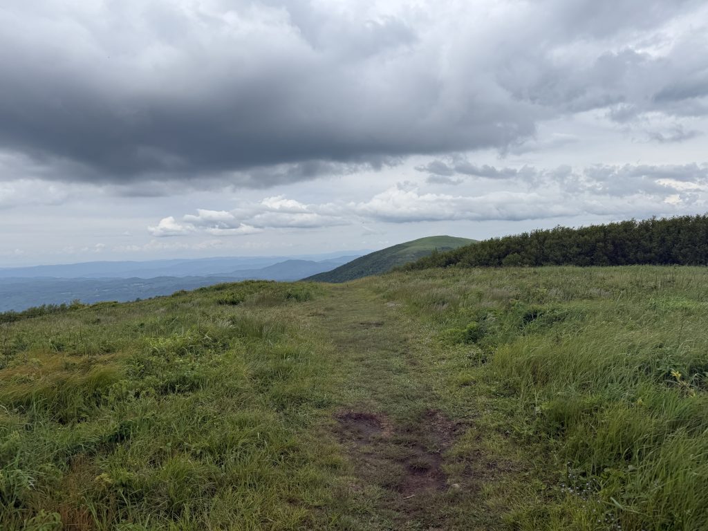 view from the top of little hump mountain