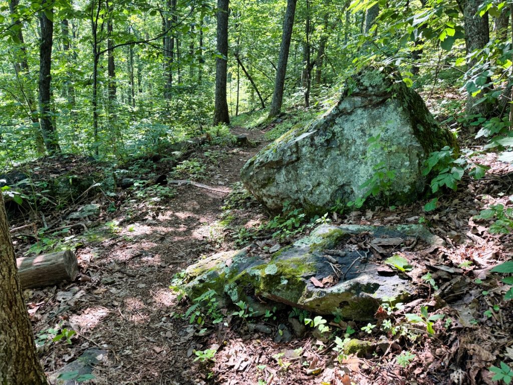 appalachian trail dobie mountain plane crash nuttyhiker 1