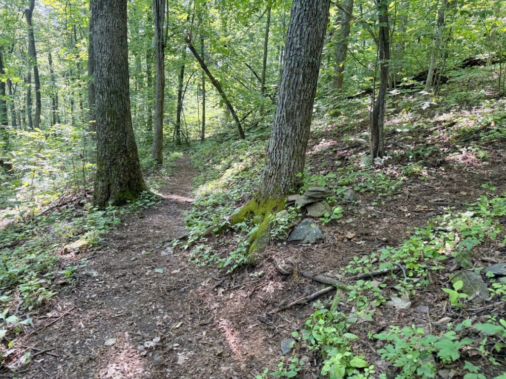 appalachian trail dobie mountain plane crash nuttyhiker 2