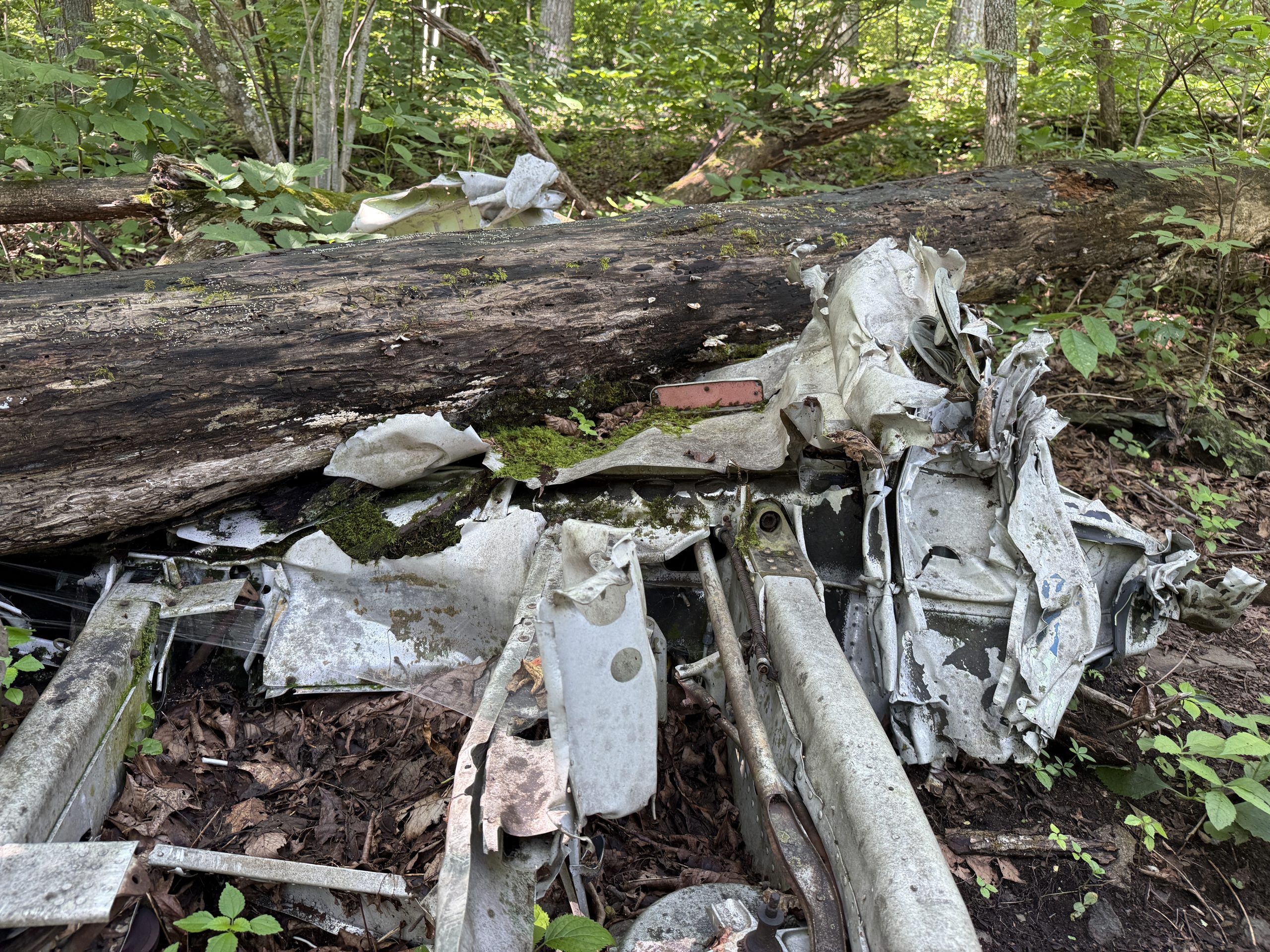 Appalachian Trail #41: Another Plane Crash Site & I Almost Died