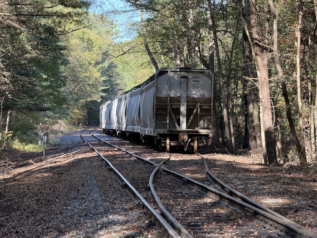 a train on tracks surrounded by trees