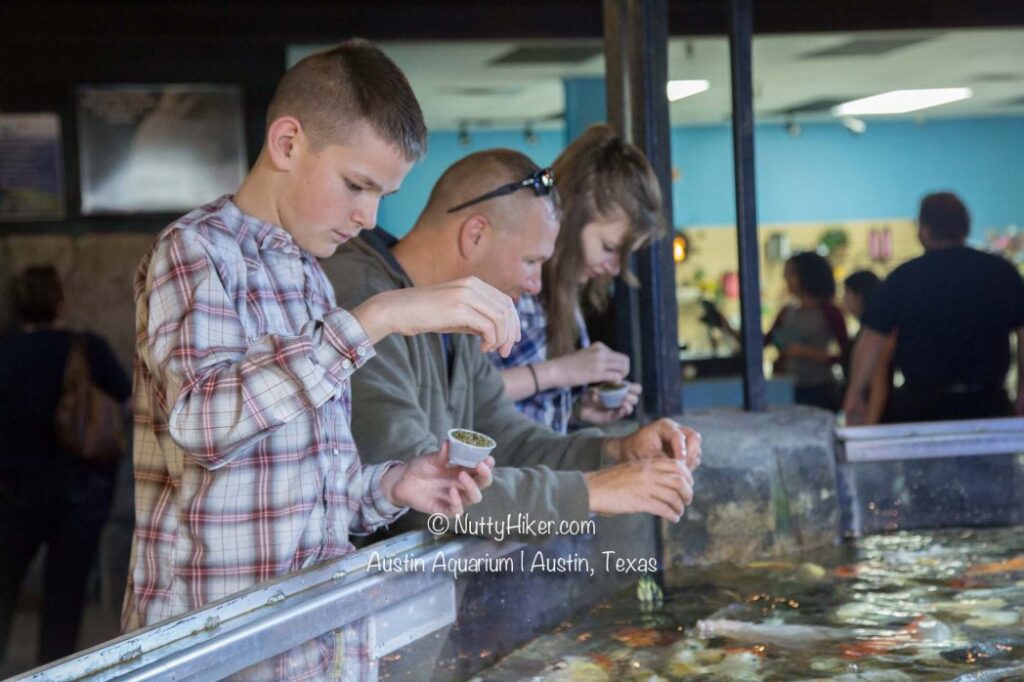 austin aquarium 4