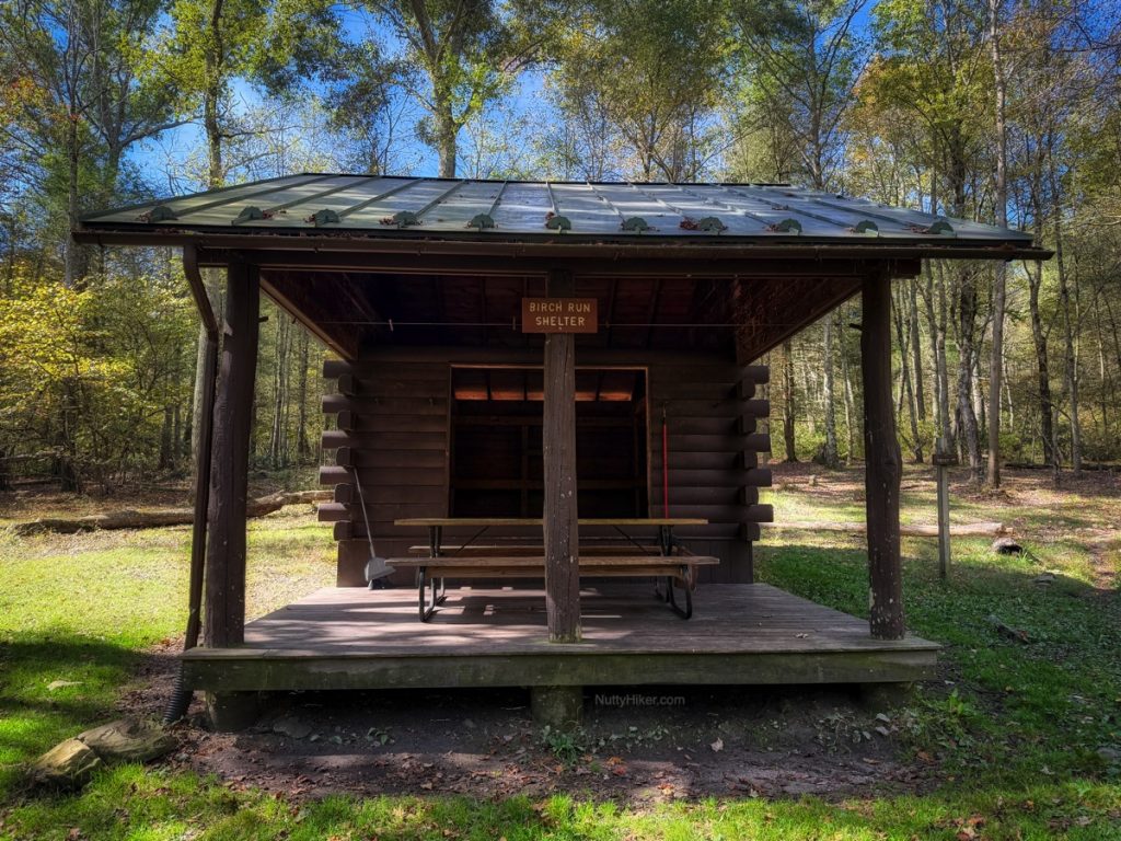 Birch Run Shelter surrounded by trees