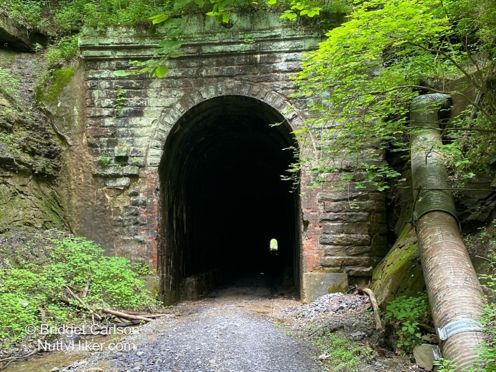 Brandy Gap Tunnel #2 entrance 