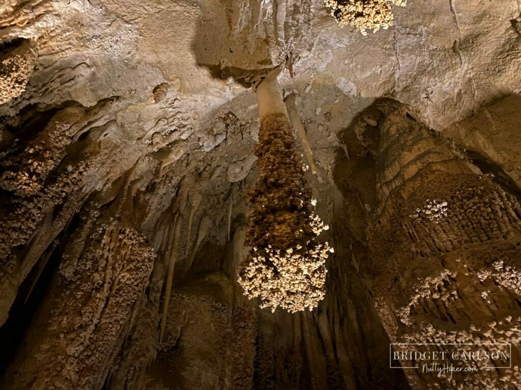 carlsbad caverns 5 nuttyhiker5