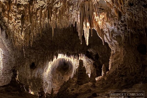 Carlsbad Caverns National Park