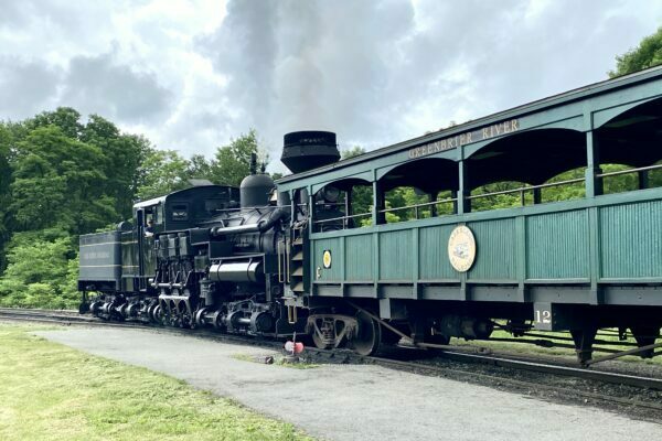 Riding the Cass Scenic Railroad