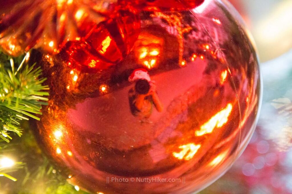 Reflection in Christmas Ball. Photo copyright Fine Art by Bridget TexasPhotog.com