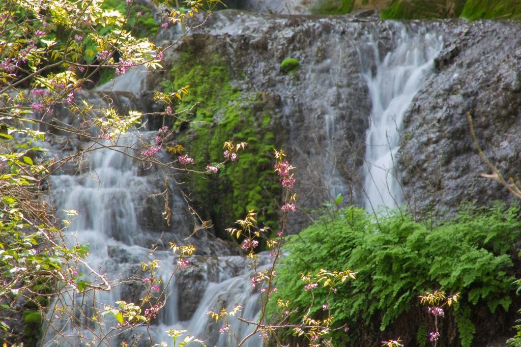 Colorado Bend State Park, Gorman Falls