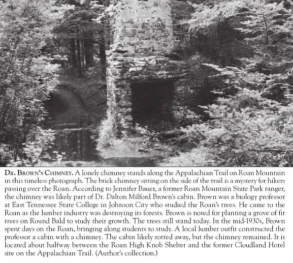 dr. brown's chimney article