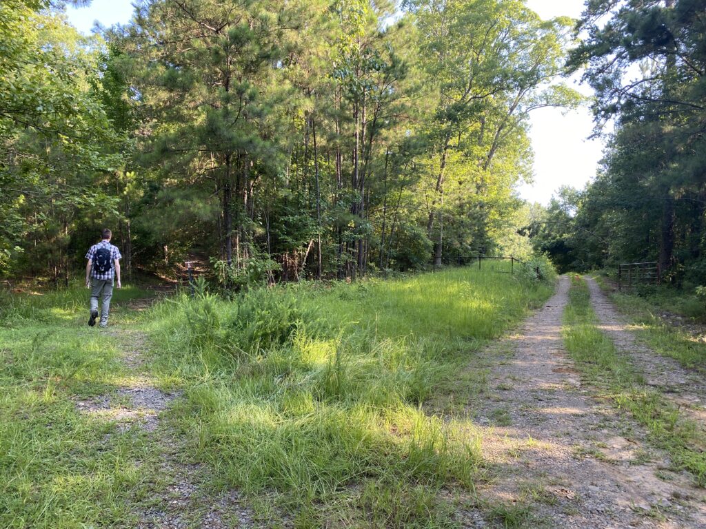 driskell trail split nuttyhiker