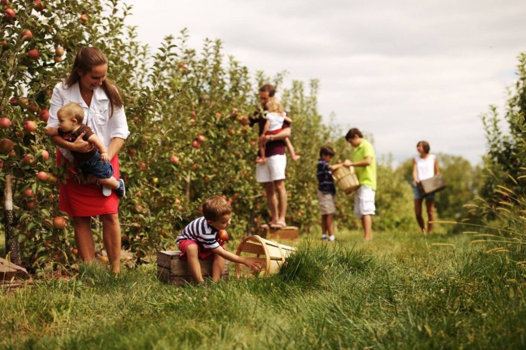 Sure, Gettysburg is known for the Civil War, but the countryside outside the historic town is known across the United States for its abundant apple orchards which complement the region’s growing wine and hard cider industry as well as the many farm markets.